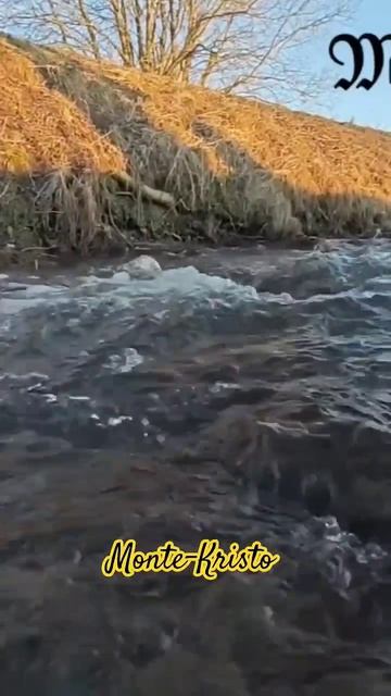 Отправь близкому