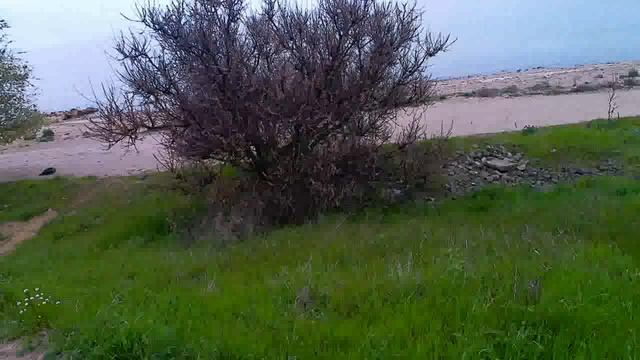 Весенний вид залива!