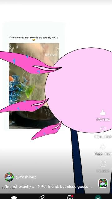 мама привет Максим 12 говорит о том чтобы не было в наличии 
35%