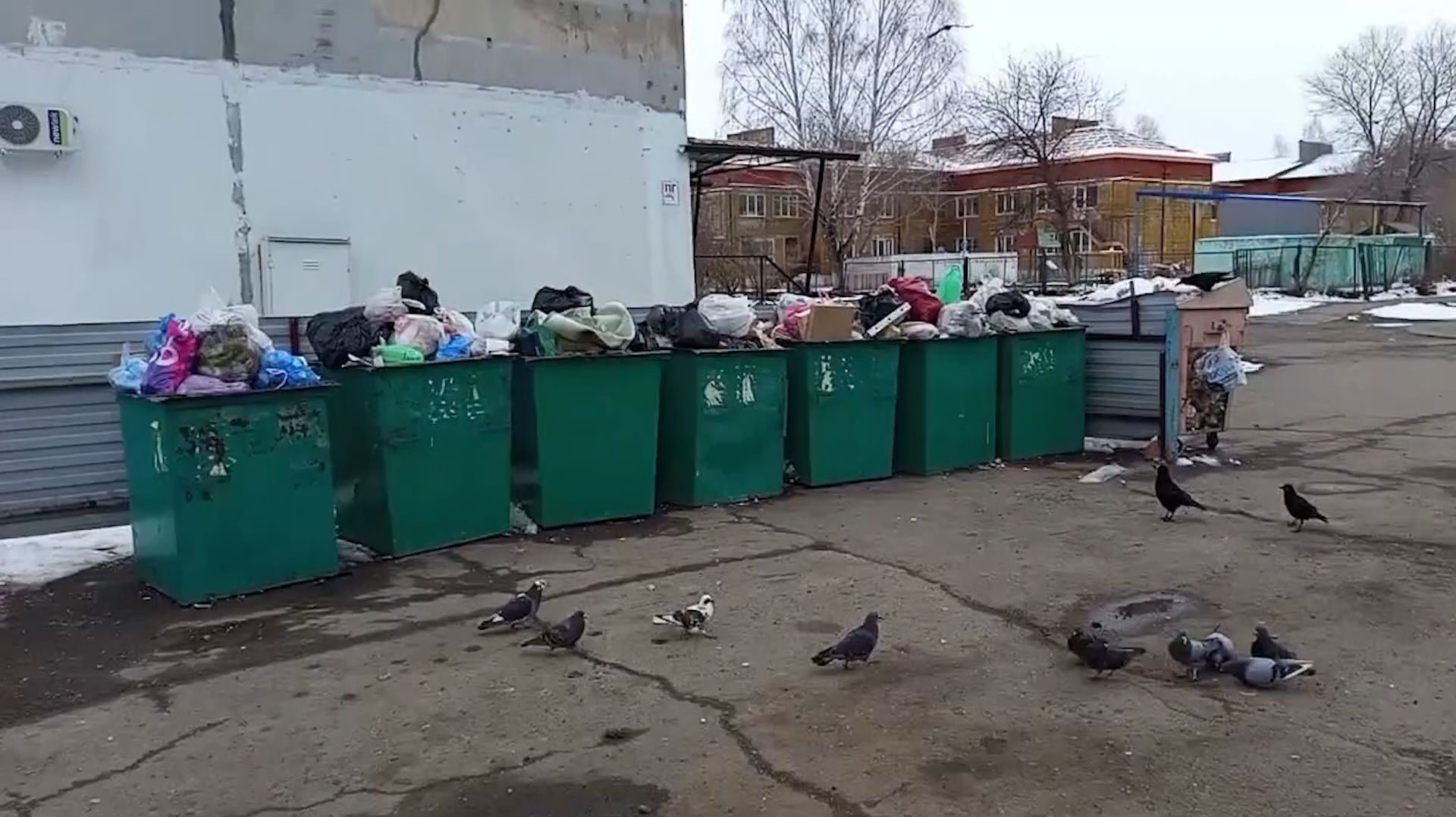 Мусорный коллапс в самом центре города