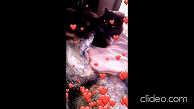 Маликов, Фет, DJ Блокnote - Я пришел к тебе с приветом