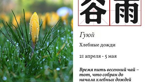 Чай и 24 сезона: Гуюй