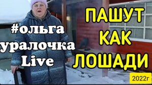 Ольга Уралочка live _Пашут как лошади _Обзор Влогов _Уралочка _Скандал на ютубе _