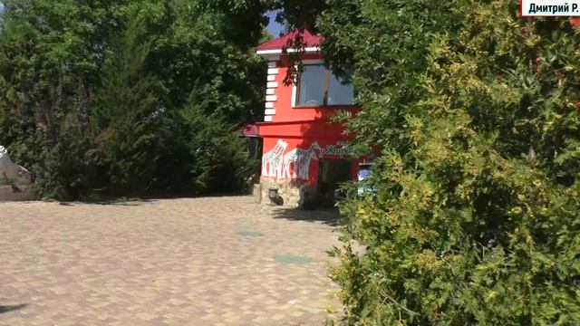 Крым 2025. Парк львов Тайган