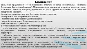 Смоленская Науч основы 4_1