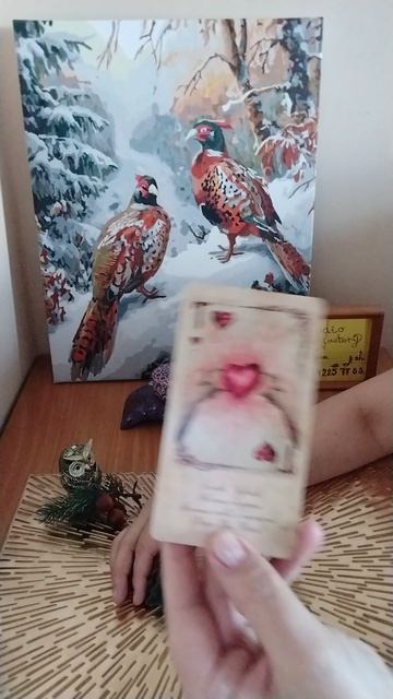 КАРТА ДНЯ. что откроется?