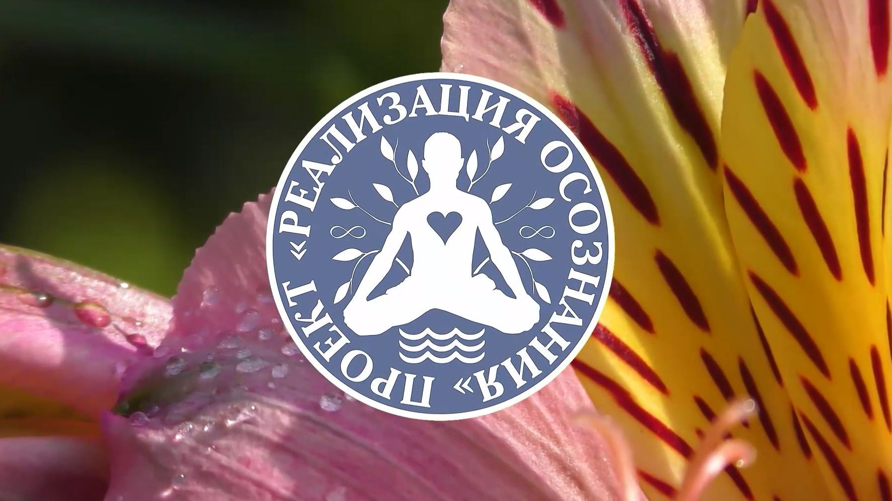 Медитация Благословие Покоя