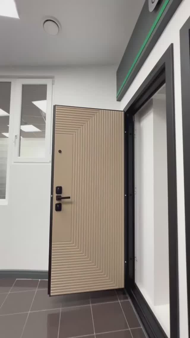 Входная дверь Техно