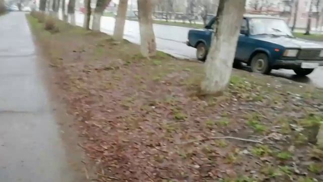 Холодный день после ночного дождя