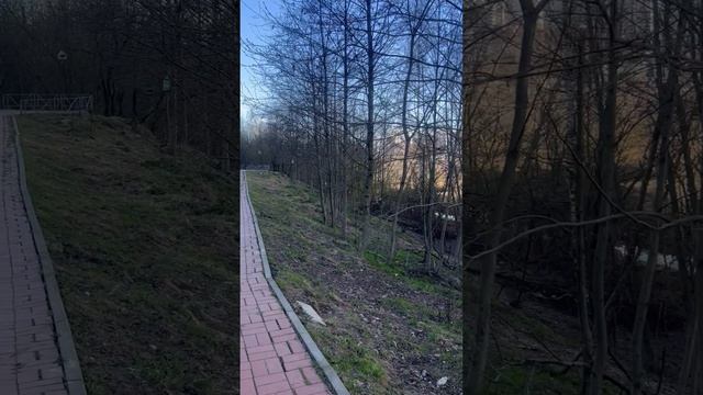 Шагаем к исполнению желания!