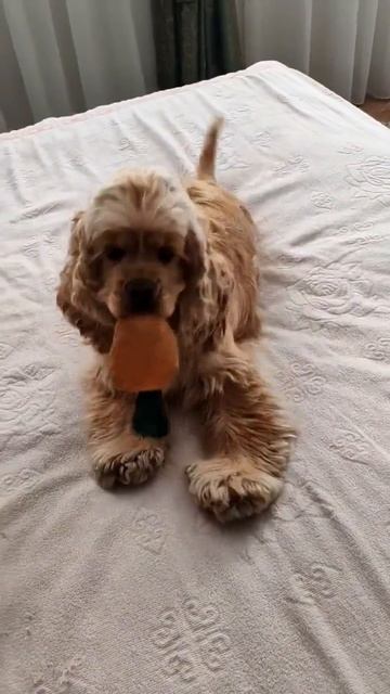 Привет от нашей выпускницы Яши