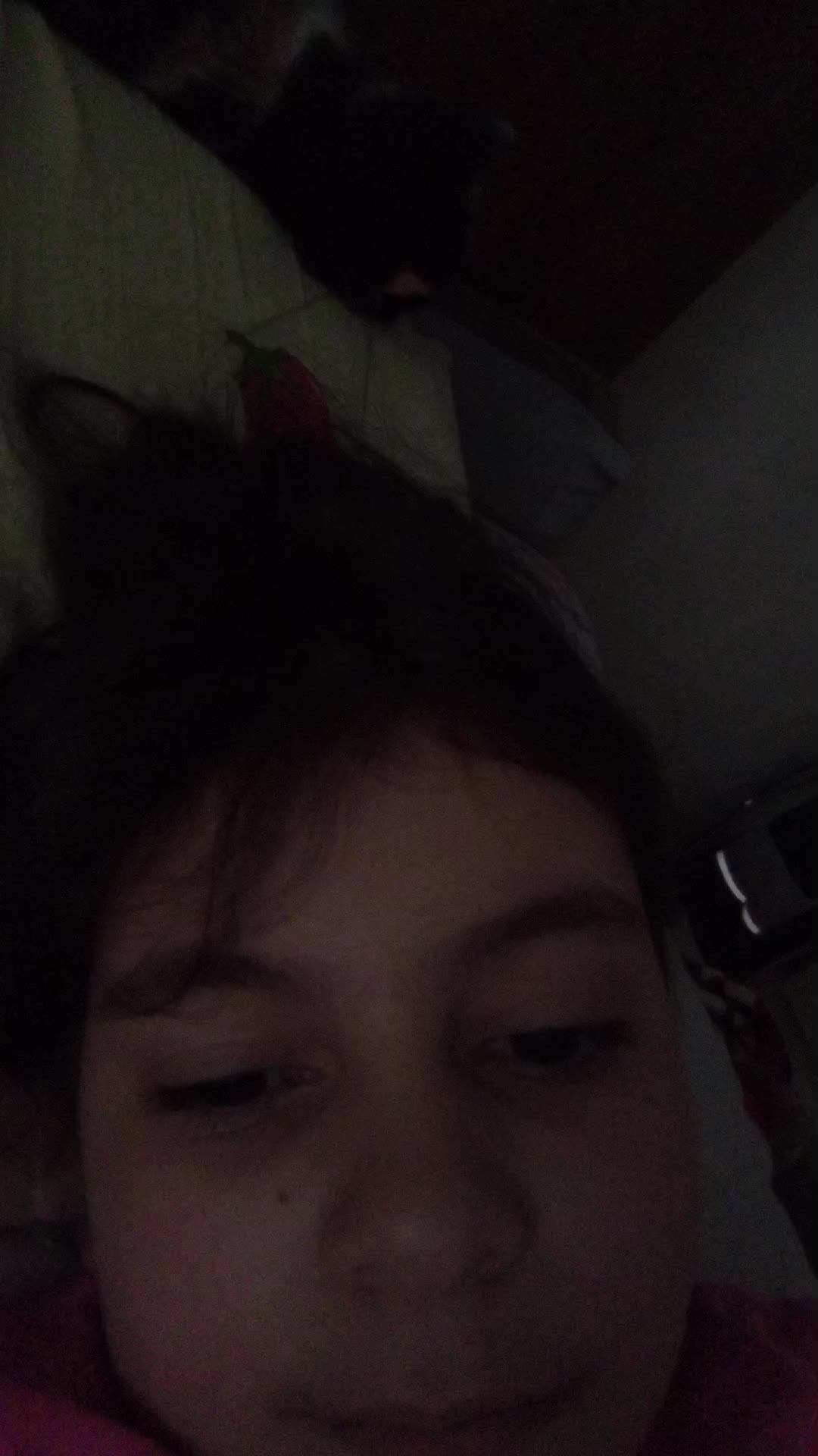 на самом деле это не моя кошка, а кошка моей сестры