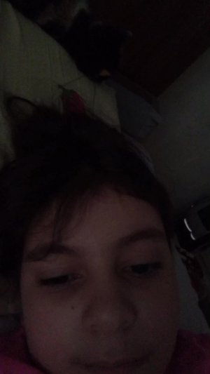 на самом деле это не моя кошка, а кошка моей сестры