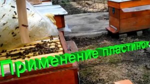 Пластинки от клеща: рабочий метод или пустая трата денег? Мнение Кашковского ⚠️