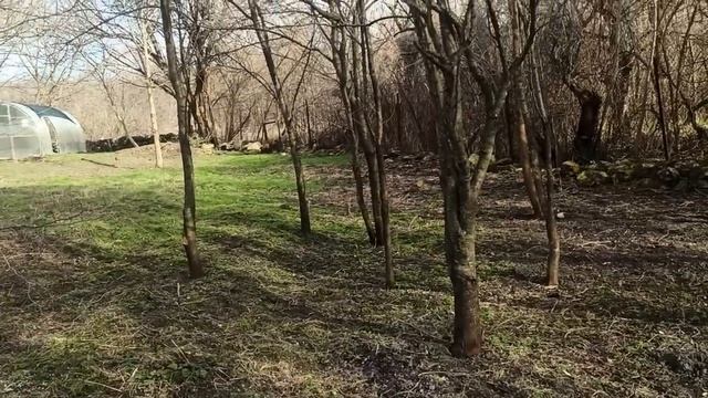 13-16 февраля 2024г.Мой дом.