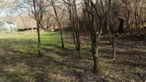 13-16 февраля 2024г.Мой дом.