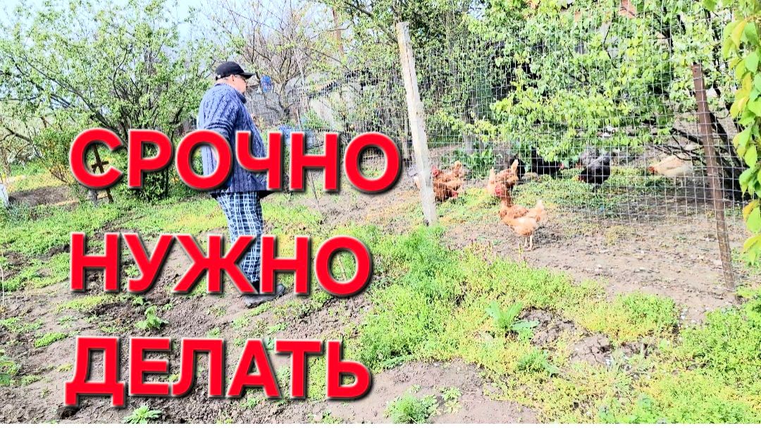 1188 Срочно нужно это делать. Мы их Теряем! Опять Эти комментарии. Только без обид.