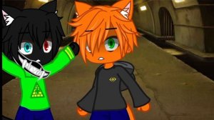 А у Впискаса с Сабри скоро дети 😍