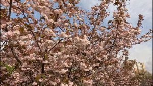 21.04 Родительский день. Анапа. 🙏