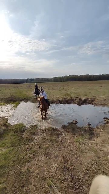 Прогулка по бродам 2024