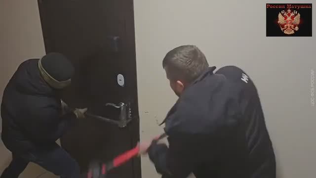 🔴В Ярославской области пресечена деятельность трёх преступных групп🔴