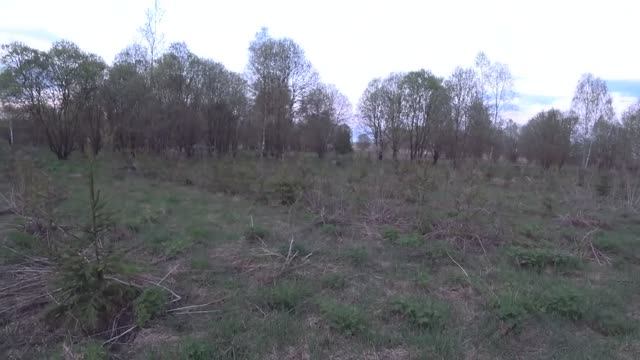 ОХОТА УДАЛАСЬ