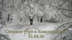 Снежное утро в Комсомольске 21.04.2026