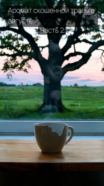 Аромат скошенной травы в августе / Часть 2 / Грустные рассказы / Истории из жизни