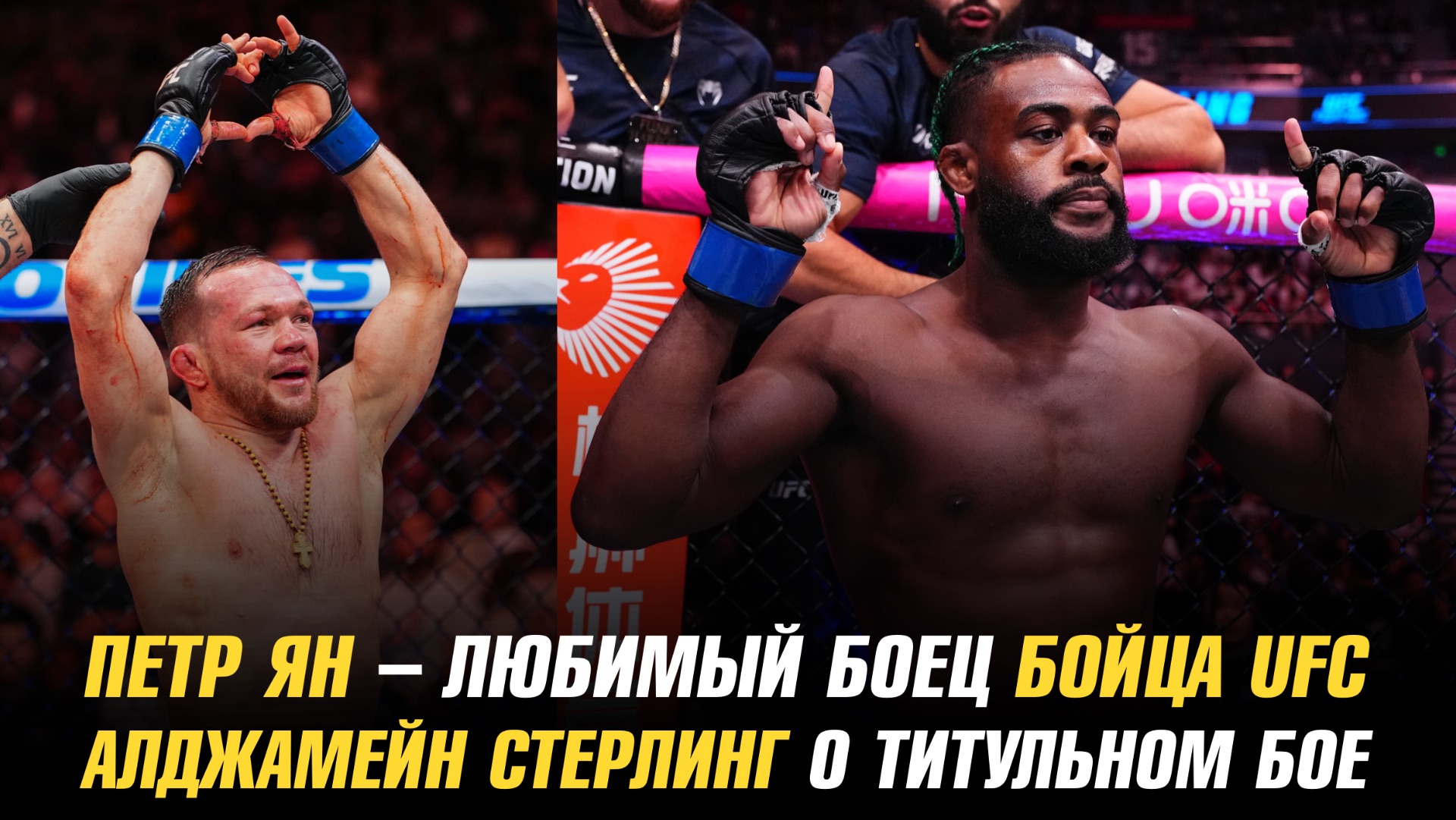 Петр Ян — любимый боец бойца UFC / Алджамейн Стерлинг о титульном бое