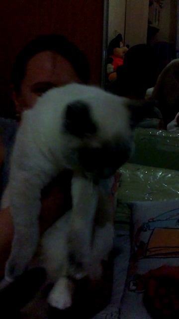 113)У ДОМА КУЗЯ,МАМА