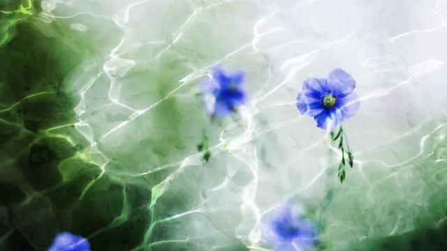 Сананда. О многомерных талантах (21.04.2026) (67 Послание)