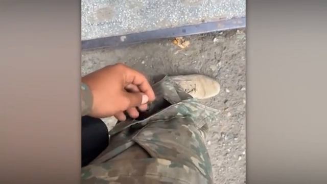 Животные приколы и не только😅