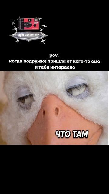 Плёночный фотоаппарат на 36 кадров (Артикул WB: #WW360391)💕