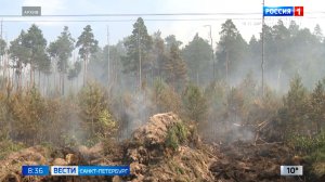 Вести Санкт-Петербург. Выпуск 08.35 от 21.04.2026