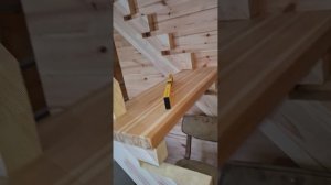 1000056689.mp4 (Собака наблюдает за устройством лестницы на 2-ой этаж в доме А-фрейм)