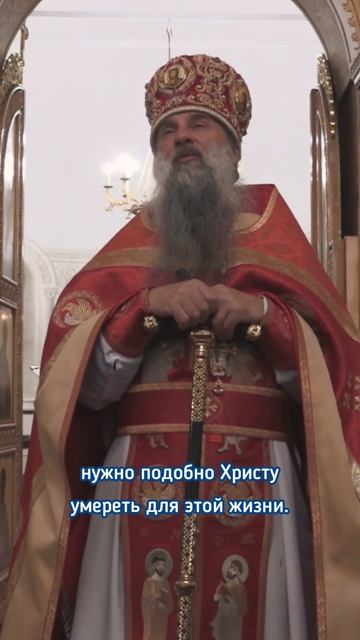 Где рождается Победа