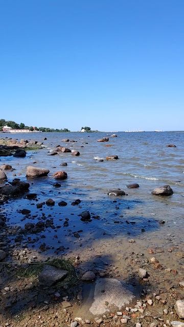 Петродворец. Вид на Невскую губу.