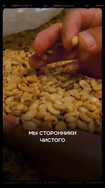 Гватемалы Аярза топ от KOF