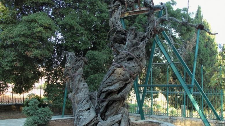 _Воскресная школа дома (2) Обетование Спасителя