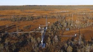 Mukhrino field station. One day of the field station engineer.