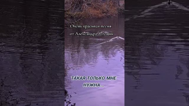 Такая только мне нужна....