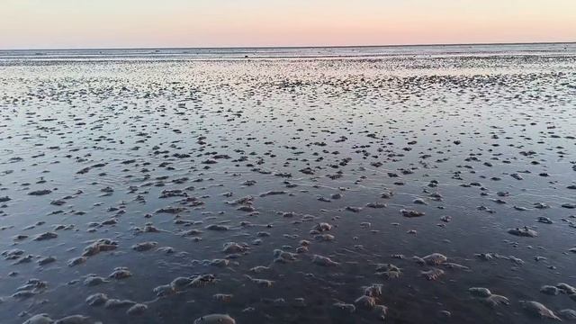 Прогулка по дну Охотского моря возле п. Эвенск Магаданской области.