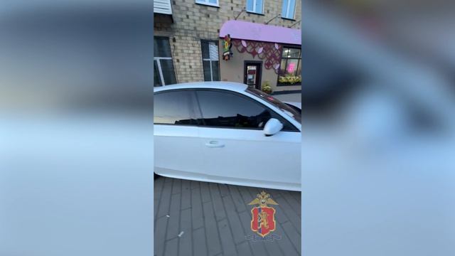 Красноярским полицейским пришлось стрелять по автомобилю, после того как водитель сбил инспектора