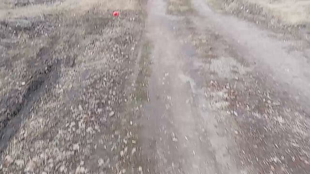 Прехвли в деревню 21 Апреля 2026 год