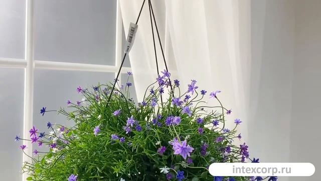 Искусственные цветы в горшке ВОЗДУШНОЕ ОБАЯНИЕ, сиреневые, 43 см, 5010084