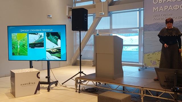 Встречи с миром насекомых на туристских тропах. 20.04.2026
