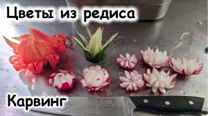 Карвинг из редиса