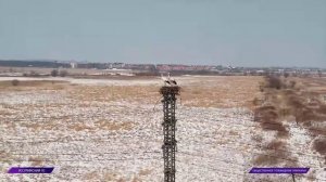 Информационная программа Эхо дня 20 апреля 2026