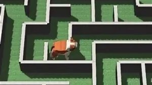 puppy maze challenge