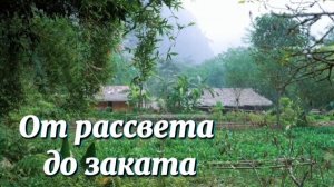 Один из дней на ферме: от рассвета до заката, самые тёплые мгновения жизни